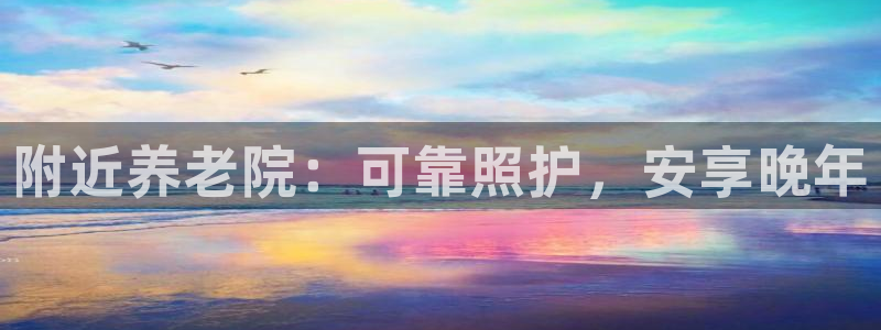 韦德是哪个
