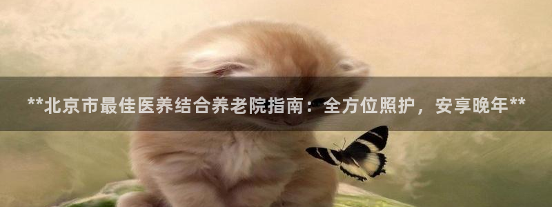 韦德网址是多少