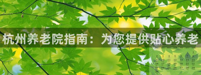 韦德1946游戏