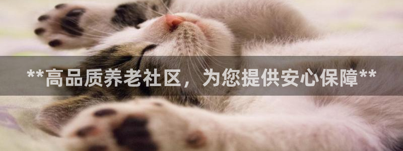 韦德新品
