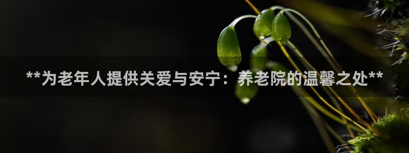 韦德1946下载