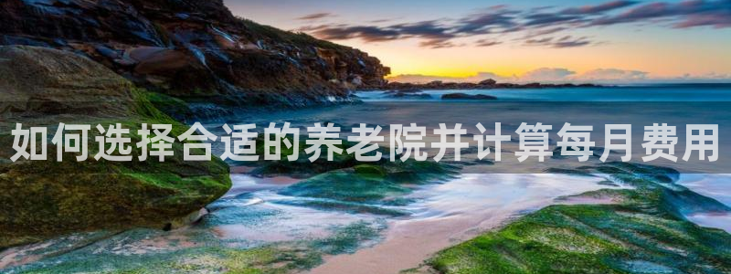 韦德是哪个