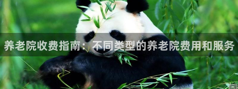 韦德官方网址