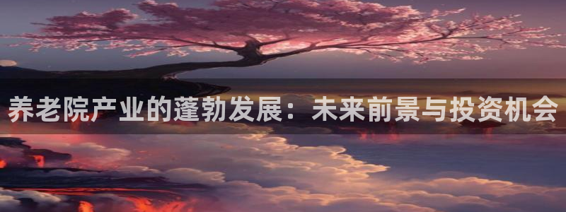 韦德1946手机
