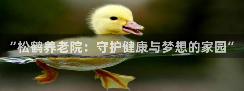 韦德观战总决赛G3