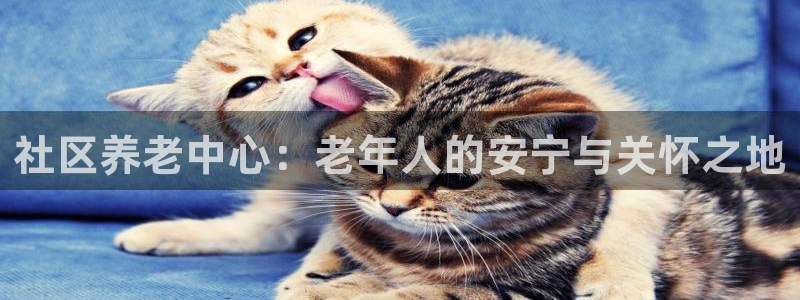 韦德国际体育