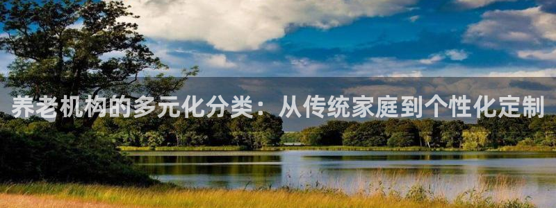 韦德网站是多少