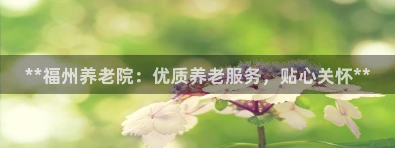 韦德观战总决赛G3