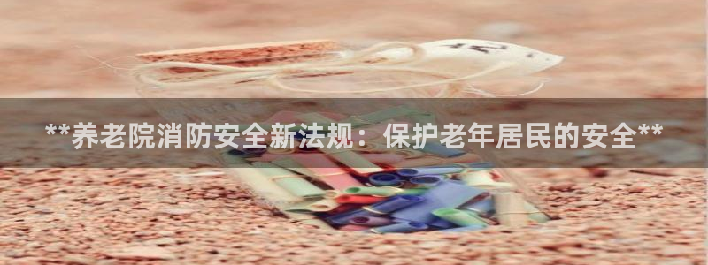 韦德网站是多少