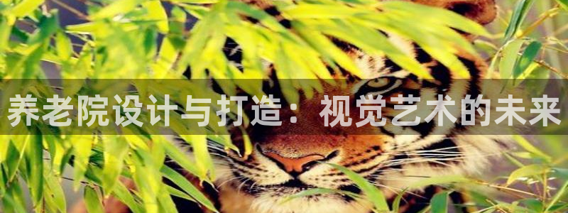 韦德1946中文官网