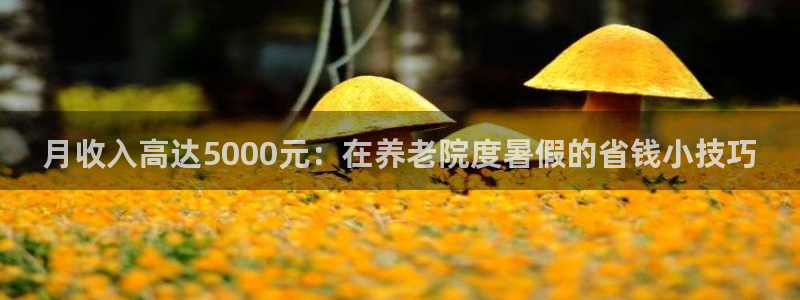 韦德2014