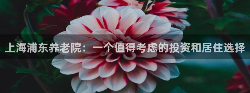 韦德游戏网址