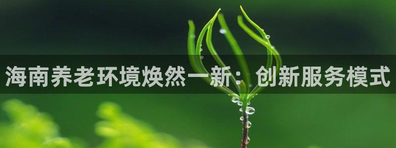 韦德官方网址大全