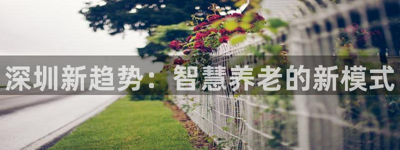 韦德1946娱乐