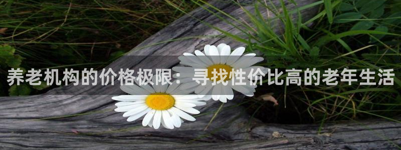 韦德1946bv1946