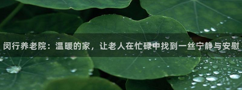 韦德网址是多少