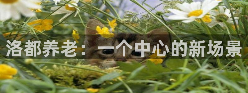 韦德8月22日开启中国行