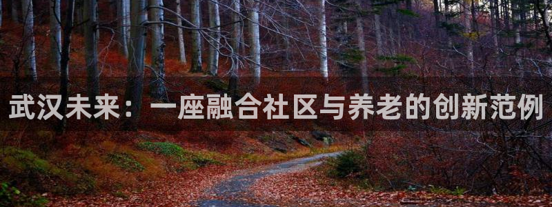 韦德1946娱乐手机版