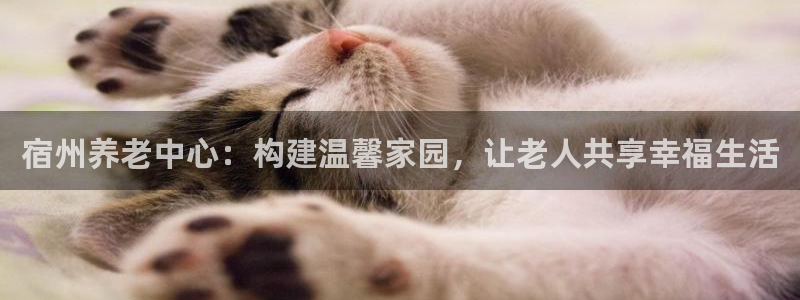 韦德1946官网最新版